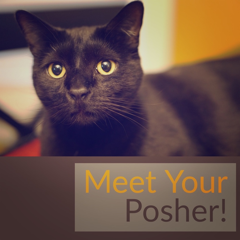 👠 Meet your Posher 👠